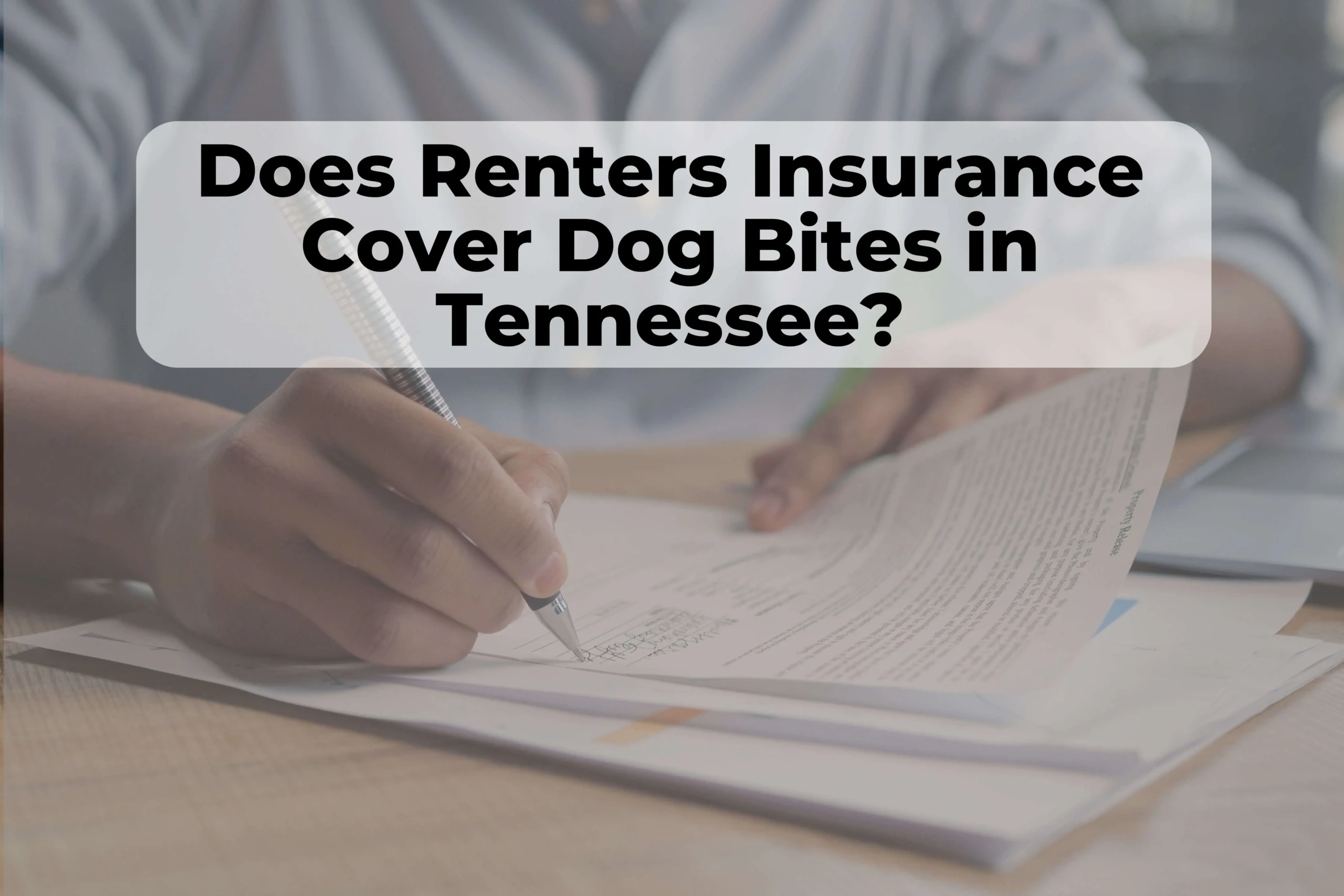 Does your renters insurance cover dog bites in Tennessee? Here’s what you need to know.